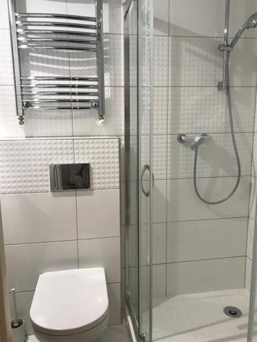 ein Bad mit einem WC und einer Glasdusche in der Unterkunft Apartament Matejki 7/4 in Zielona Góra