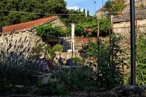 Afbeelding uit fotogalerij van Mario (RADE) in Korčula