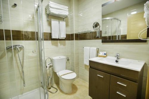 a bathroom with a toilet and a shower and a sink at Hospedería Castilla Plaza Mayor in Ciudad-Rodrigo