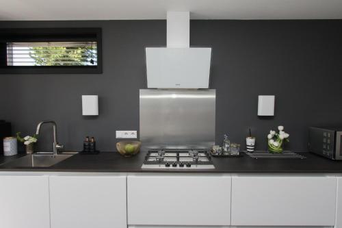 uma cozinha com um lavatório e um fogão forno superior em Chill-out em Nieuwe Wetering