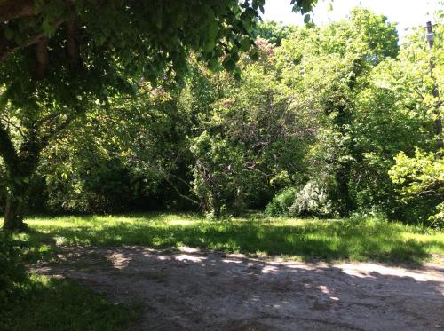 Gambar di galeri bagi Les vaulx di Cour-Cheverny