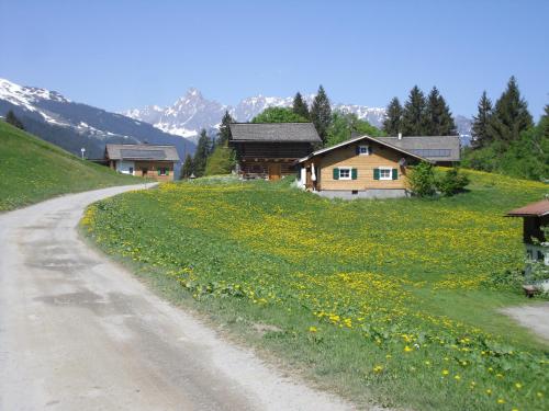 シュルンスにあるMaisäß Lifinarblickの未舗装路の隣の黄色い花畑