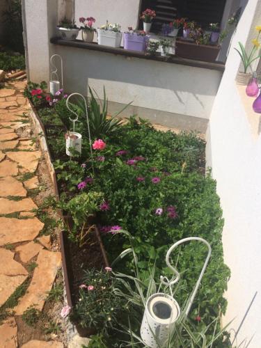 Gallery image of Apartments Marija in Stari Grad