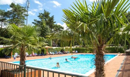 una piscina con palme in un resort di Vakantiebungalow Otterlo a Otterlo