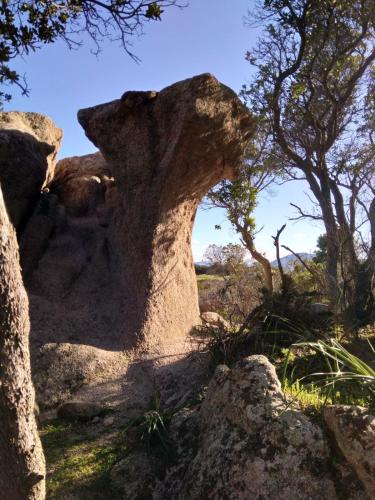 a large rock in a field with trees and grass at Su Pranu in Onifai