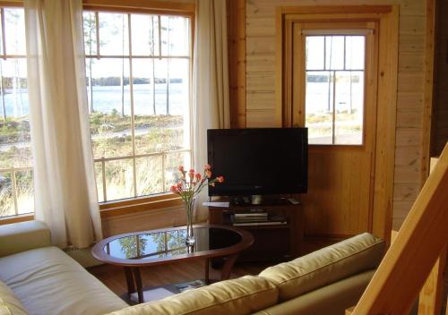 Televisyen dan/atau pusat hiburan di Tiiringolf Cottages