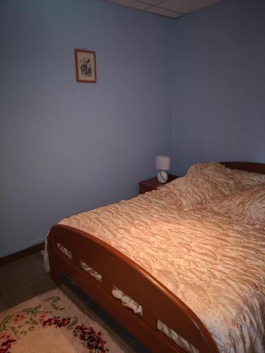 1 dormitorio con cama, lámpara y alfombra en P'tite Case, en Mornas