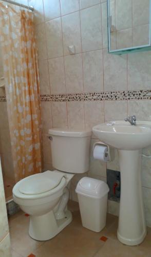 a bathroom with a toilet and a sink at Alojamiento Familiar Villa Palmeras in Tarapoto