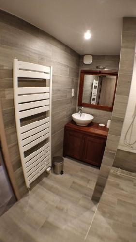 une salle de bain avec un lavabo et un miroir dans l'établissement Maison des écluses Strasbourg F3 90m2 Jacuzzi Climatisation, à Strasbourg