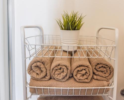 Galerija fotografija objekta Atsipūskit u Palangi