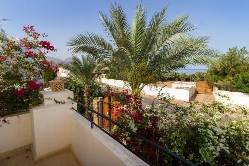 a balcony with flowers and palm trees at Red C Villas in Dahab