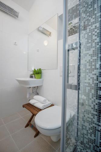 a bathroom with a toilet and a sink and a shower at Beautifu stone Vila Krčina in Vinišće