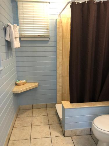 a bathroom with a shower curtain and a toilet at Lakeside Inn and Cafe in Saint Cloud