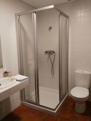 a bathroom with a shower with a toilet and a sink at Carrecalzada in Melgar de Fernamental