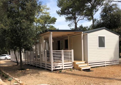 Summertime by Pearl of the Biograd