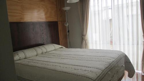 ein Bett in einem Schlafzimmer mit einem großen Fenster in der Unterkunft Hospedaje Los Copihues de Valle Volcanes in Puerto Montt