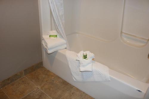a bathroom with two towels and two folded towels at Qube Hotel - Polk City in Polk City
