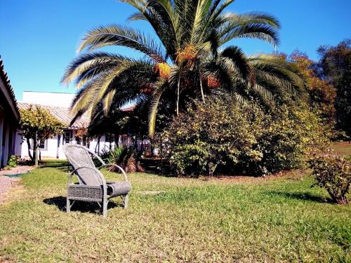 a bench sitting in the grass next to a palm tree at Hotel Plaza Malloa in Malloa