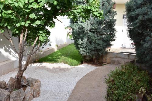 a garden with a tree and a house at Galotel Agnoudas near the airport in Markopoulo