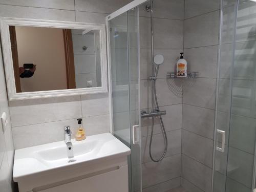 塔林的住宿－Viru Maja，带淋浴、盥洗盆和镜子的浴室