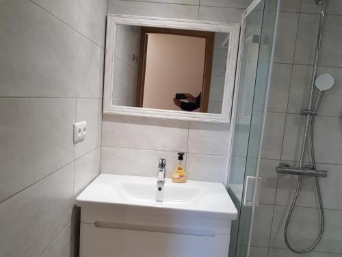 a bathroom with a sink and a mirror and a shower at Viru Maja in Tallinn