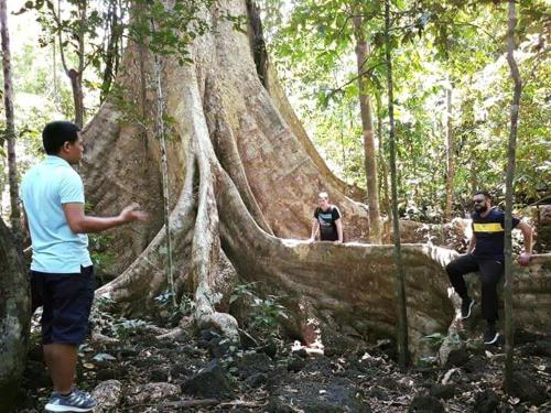a group of people standing around a tree in the woods at Gibbon Singing Home Stay in Quan Tom