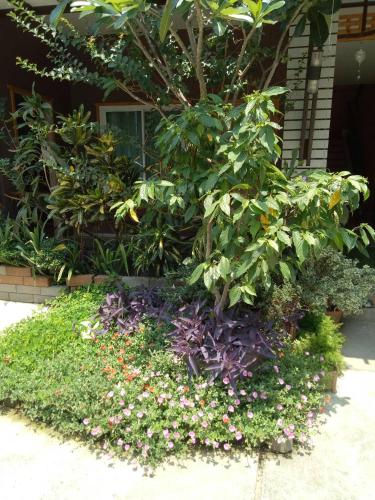 a garden of flowers and plants in front of a house at Baan Jaru in Chiang Rai