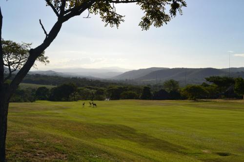 two people playing golf on a lush green field at Kruger Park Lodge - Golf Safari SA in Hazyview