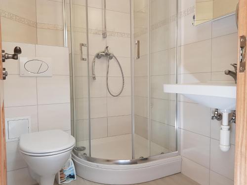 a bathroom with a shower and a toilet and a sink at Rodante Apartments in Druskininkai