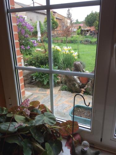 a window with a view of a garden at Hotel Rural La Rosa de los Tiempos in Carneros