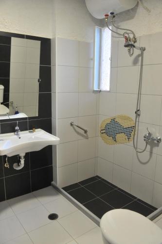 a bathroom with a shower and a sink and a toilet at Chaliotis Apartments in Lefkandi Chalkidas