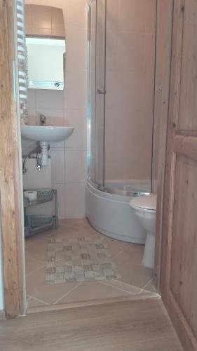a bathroom with a shower and a sink and a toilet at Pokoje Gościnne Przy Lesie in Pobiedna