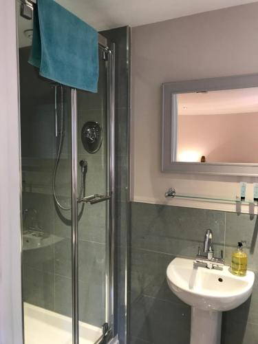 y baño con ducha y lavamanos. en Mays Cottage Bed and Breakfast en Petersfield