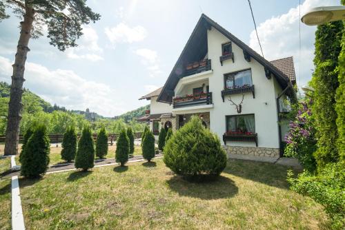 Κήπος έξω από το Bran Chalet