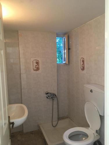 a bathroom with a toilet and a sink at Antonia's Apartments-Traditional house next to the beach in Valimítika