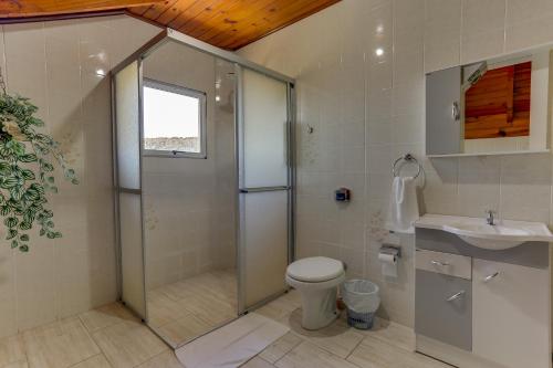 a bathroom with a shower and a toilet and a sink at Pousada Tio Mica in Nova Petrópolis