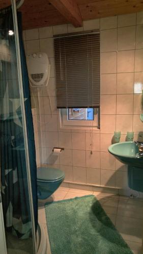 a bathroom with a sink and a toilet and a window at Ferienhaus Eschenallee in Wendisch Rietz