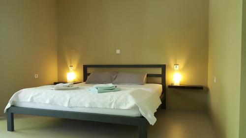 מיטה או מיטות בחדר ב-Villa Tikvesh Lake