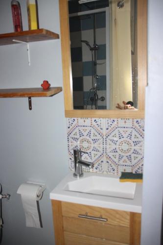 a bathroom with a sink and a mirror at Halte en Provence in Peyruis
