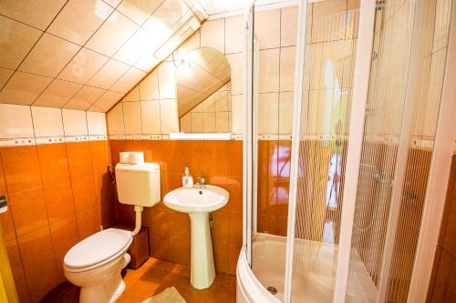 a bathroom with a toilet and a sink and a shower at Pensiunea Iozefina in Moieciu de Jos