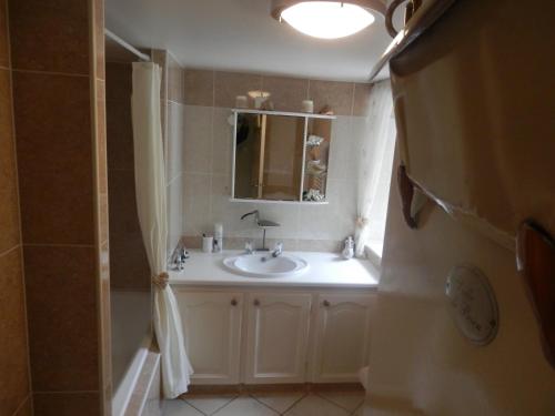 une salle de bain avec un lavabo et un miroir dans l'établissement La petite Cretouffiere - Naturiste Accommodation - Adult Only, à Colombiers-du-Plessis