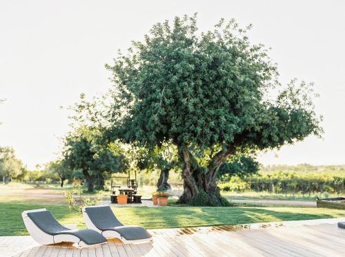 two white chairs sitting next to a tree at Conversas de Alpendre in Vila Nova de Cacela
