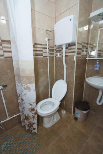 a bathroom with a toilet and a sink at Apartments Lukić in Soko Banja
