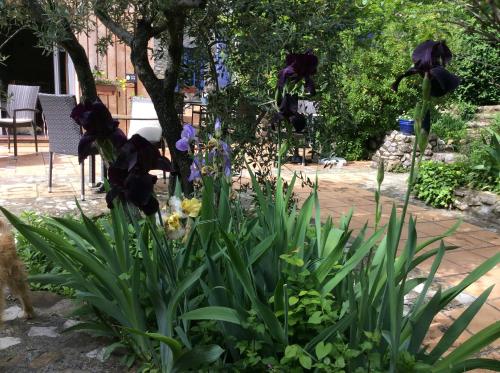 a garden with flowers and a dog standing next to it at Clos des Iris in Moustiers-Sainte-Marie