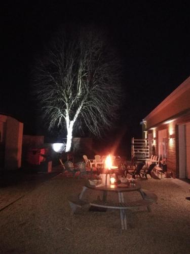 a picnic table with a tree in the background at night at Skindles Guesthouse in Poperinge