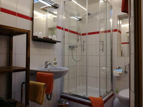 een badkamer met een douche en een wastafel bij Ferienwohnung Pohle-Priske Radebeul in Radebeul