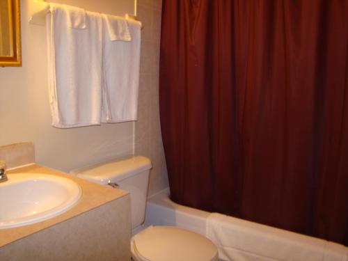 a bathroom with a toilet and a sink and a shower at Hotel Quartier Latin in Montréal
