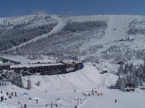 a group of people skiing down a snow covered slope at Apartmány Červenohorské sedlo in Kouty
