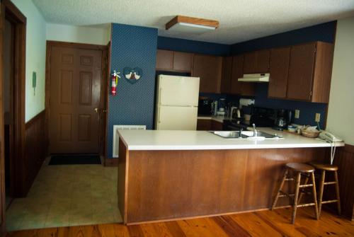 Kuchyň nebo kuchyňský kout v ubytování Country Hideaway at Mountain Lakes Resort