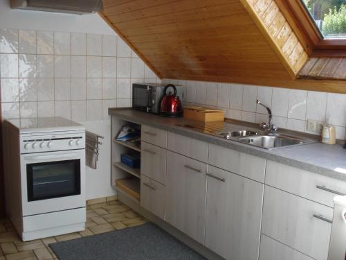 een keuken met een wastafel en een fornuis bij Ferienwohnung Lydia in Traben-Trarbach